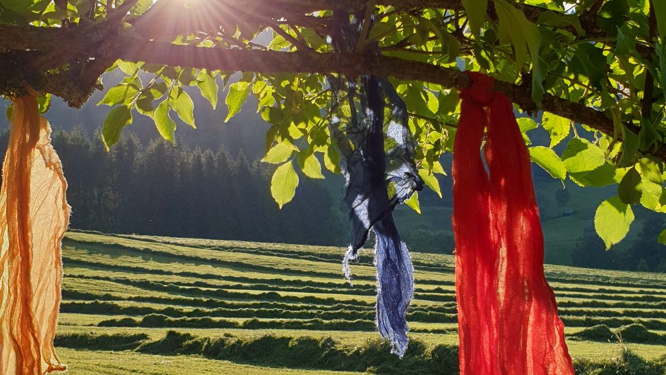 Licht-im-ich.de Bunte Tücher hängen an einem Baum, Sonne scheint auf eine grüne Wiese.
