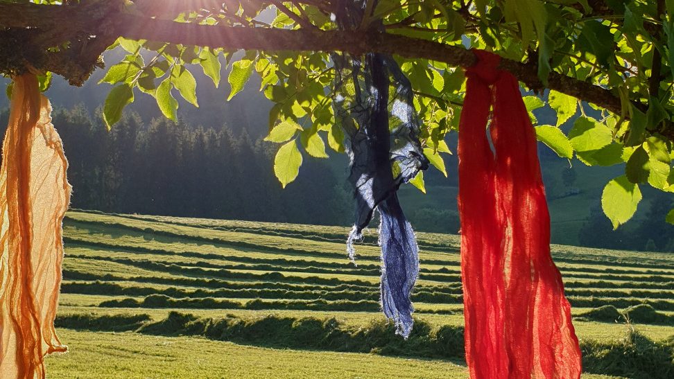 Licht-im-ich.de Bunte Tücher hängen an einem Baum, umgeben von einer grünen Wiese und Sonnenlicht.