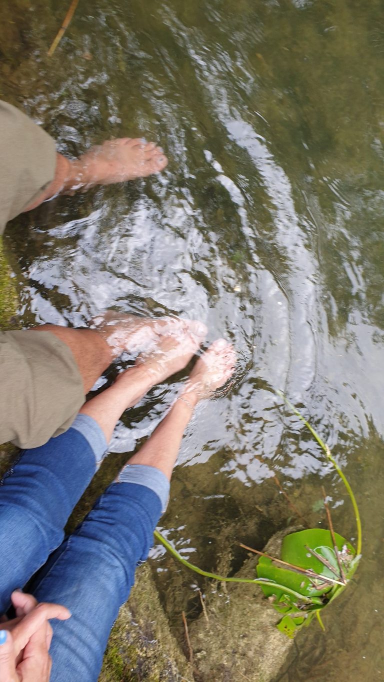 Licht-im-ich.de Bunte Tücher hängen an einem Baum, während die Sonne über einer Wiese scheint.