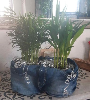 Zwei grüne Pflanzen in einem Blumenpot aus Jeansstoffen, dekoriert mit weißen Lichtern.